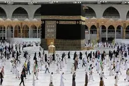 تکذیب شیوع ویروس مرس در میان زائران | وضعیت سلامت زائران تحت کنترل است؟