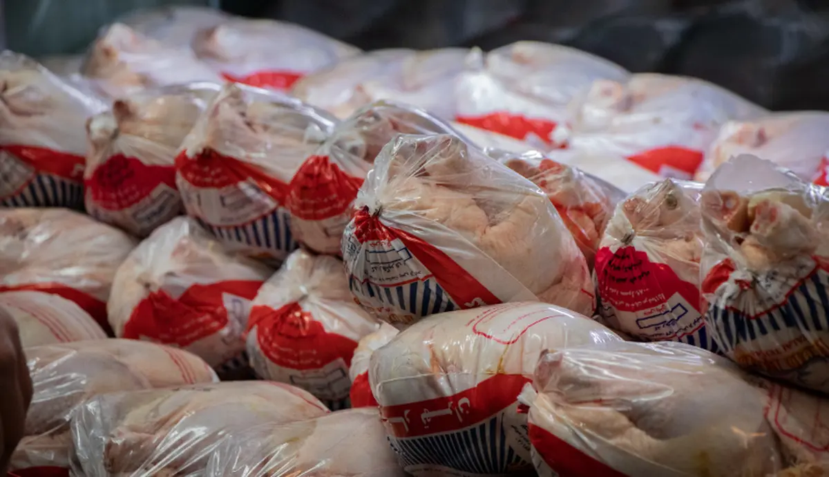 چرا مرغ باز هم گران شد؟