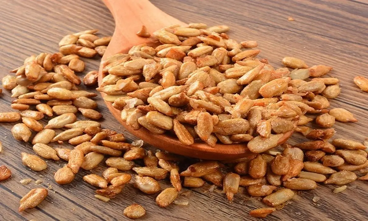 خواص دانه های افتاب گردان