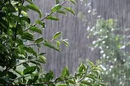 خبر بد برای مردم جنوب و شرق | بارش و باد شدید در راه است