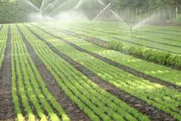 بالا بردن بهره وری هزینه آب کشاورزان را رایگان می کند