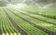 بالا بردن بهره وری هزینه آب کشاورزان را رایگان می کند