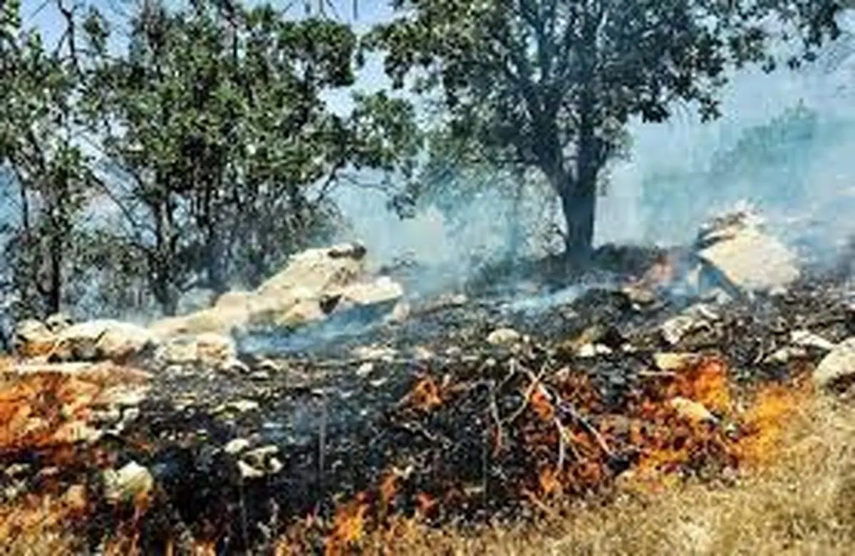 
جنگل‌های مریوان در آتش میسوزند
