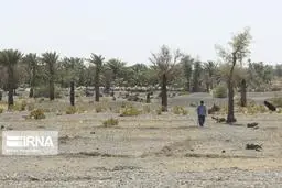 افزایش فرونشست تهدید فوری برای محیط‌ زیست کشور 