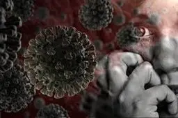 احتمال ردپای کرونای جهش یافته در کردستان 