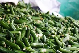 خیار ۲۰ هزار تومان شد