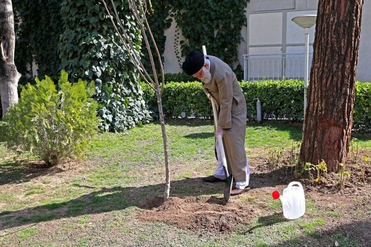 تصویری از رهبر معظم انقلاب در حال درختکاری