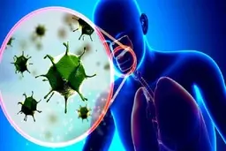 وزیر بهداشت: سرماخوردگی‌های جدید، کرونا یا آنفولانزا هستند + ویدئو