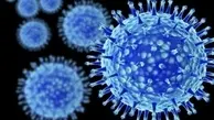 ویروس آنفلوانزا A سالانه ۳ تا ۵ میلیون نفر را در جهان مبتلا به بیماری شدیدمیکند