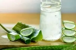 هشدار جدی به این افراد | آلوئه ورا مصرف نکنید