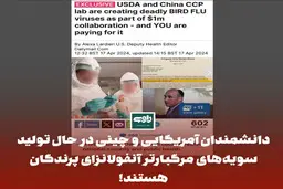 دانشمندان آمریکایی و چینی در حال تولید سویه‌های مرگبارتر آنفولانزای پرندگان هستند! | نگرانی های جدید مردم درباره ادعای جدید دانشمندان آمریکایی و چینی