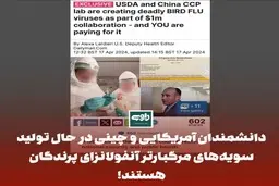دانشمندان آمریکایی و چینی در حال تولید سویه‌های مرگبارتر آنفولانزای پرندگان هستند! | نگرانی های جدید مردم درباره ادعای جدید دانشمندان آمریکایی و چینی