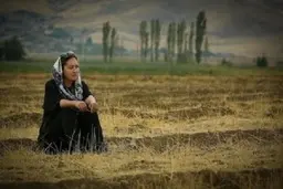 
 پروانه نمایش برای فیلمِ نیکی کریمی صادرشد
