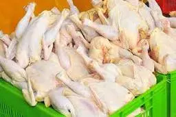 قیمت مرغ  | نرخ مصوب قیمت مرغ در بازاربه ثبات رسید