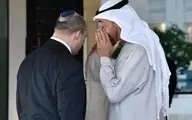 
اطلاعاتی که نخست وزیر اسرائیل درباره پهپادهای ایران به بن زاید داد
