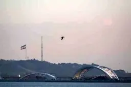 راز دریاچه چیتگر فاش شد| یک‌اردک ماهی به جای تمساح همه را سرکار گذاشته بود!