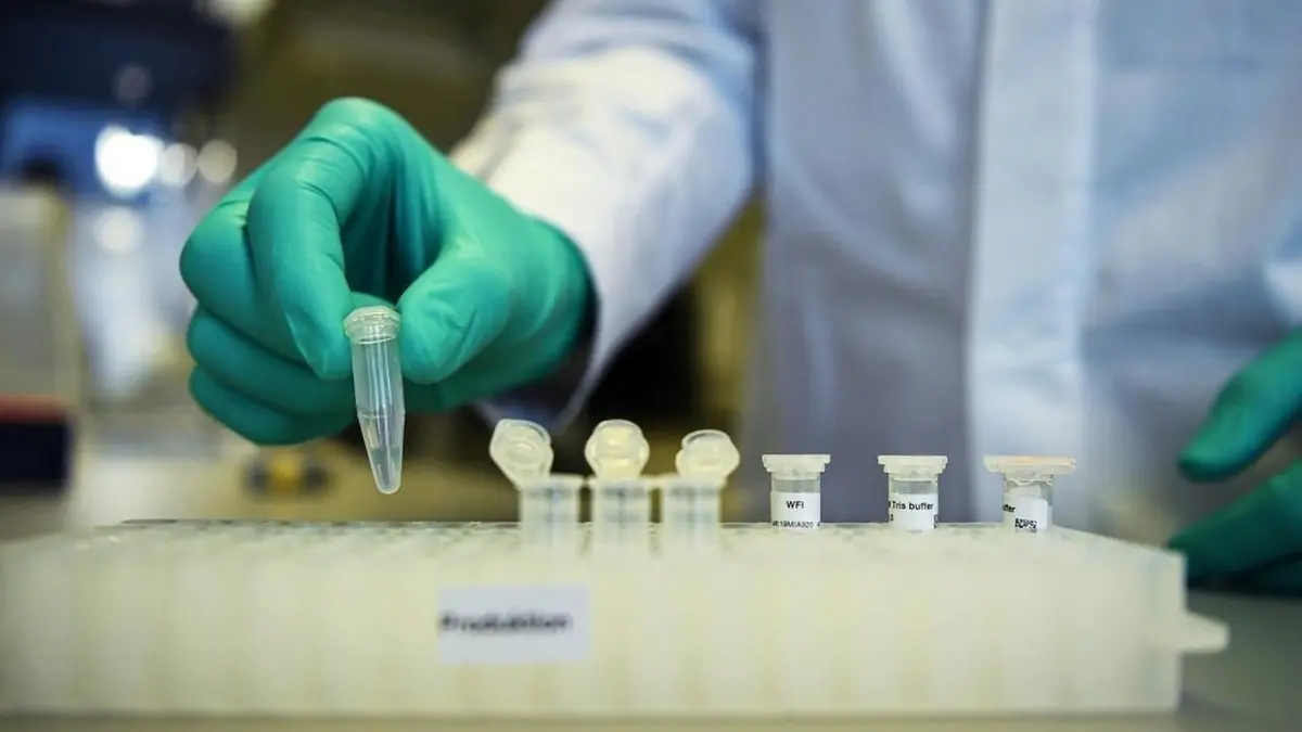 پژوهشگران آمریکایی: واکسنی که کروناویروس را دست‌کم یک سال خنثی می‌کند با موفقیت روی موش‌ها تست شد
