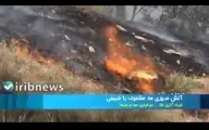 آتش‌سوزی‌های مشکوک یا طبیعی + ویدئو