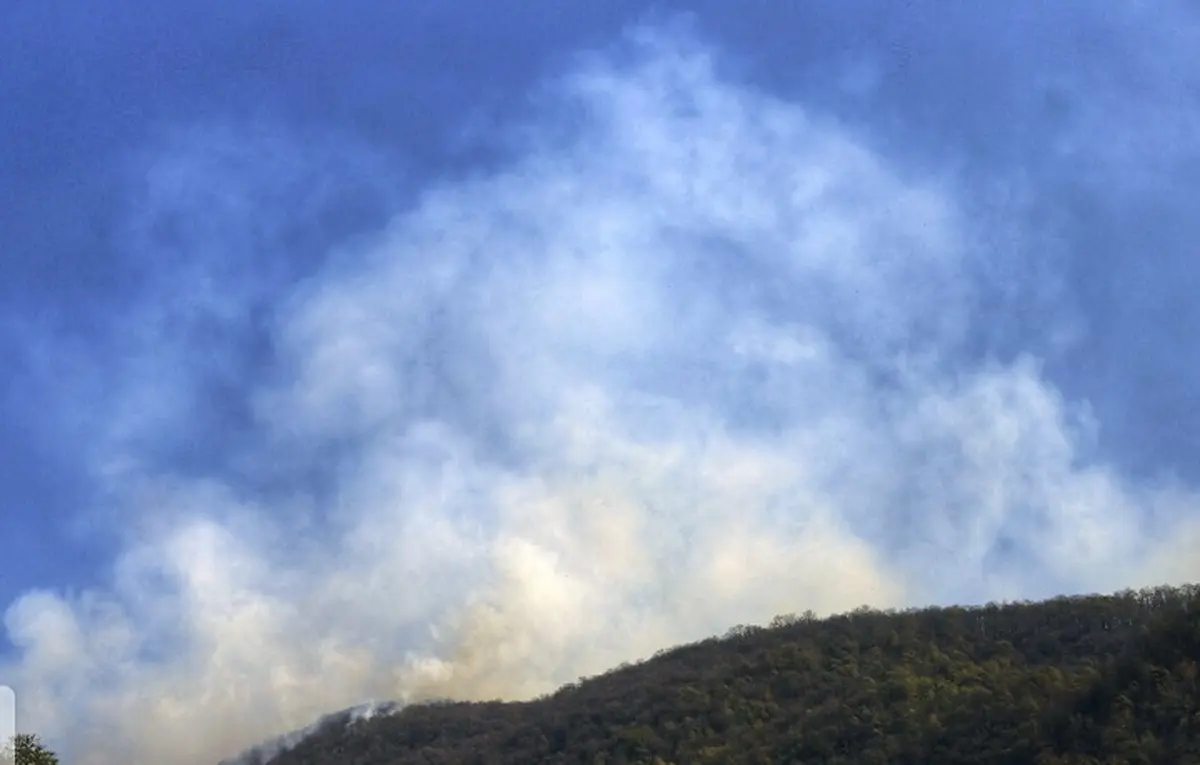 آتش‌سوزی   |  بخشی از جنگل منطقه " اشکته چال"  طعمه حریق شد
