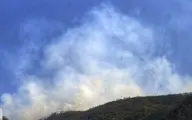 آتش‌سوزی   |  بخشی از جنگل منطقه " اشکته چال"  طعمه حریق شد