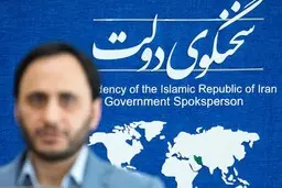 اینستاگرام حساب کاربری سخنگوی دولت را مسدود کرد