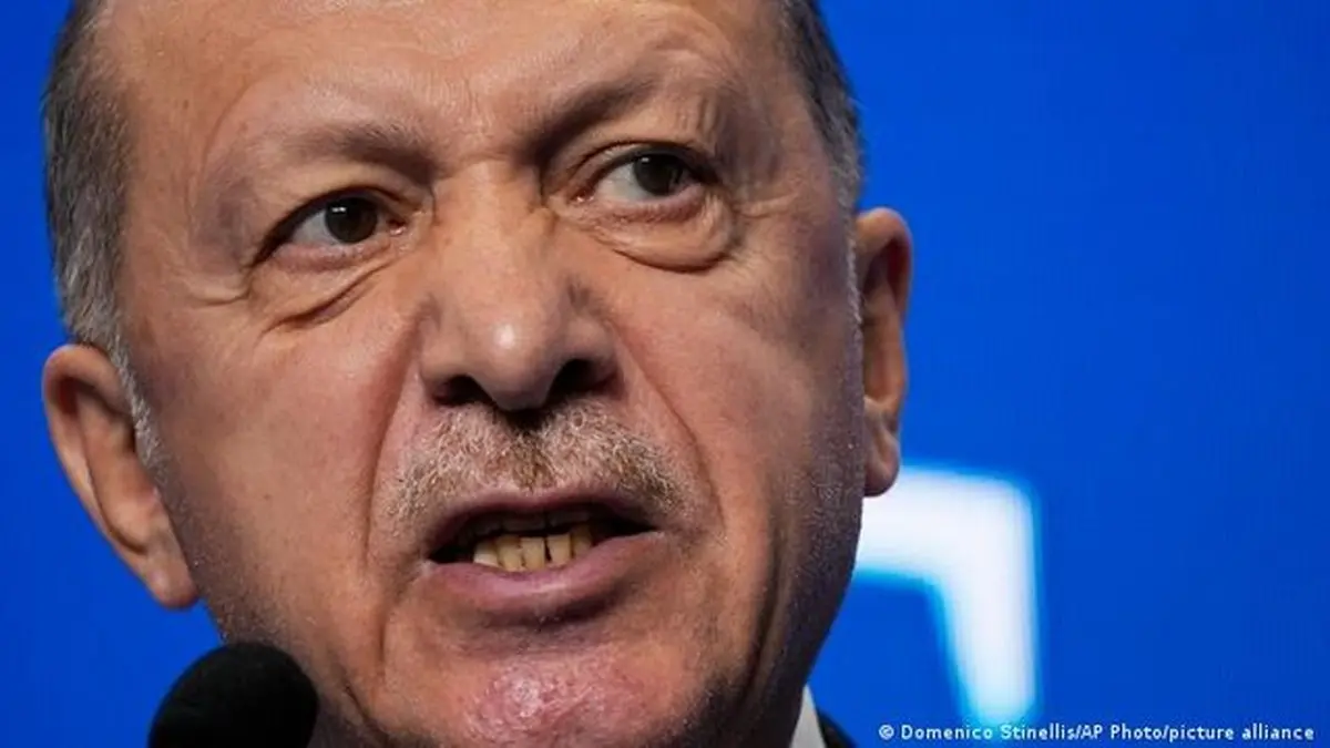 رجب طیب اردوغان رسانه‌های ترکیه را به «برخورد» تهدید کرد