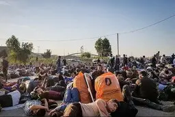 وزارت کشور: ایجاد اردوگاههایی برای پذیرش مهاجران جدید افغان کذب است