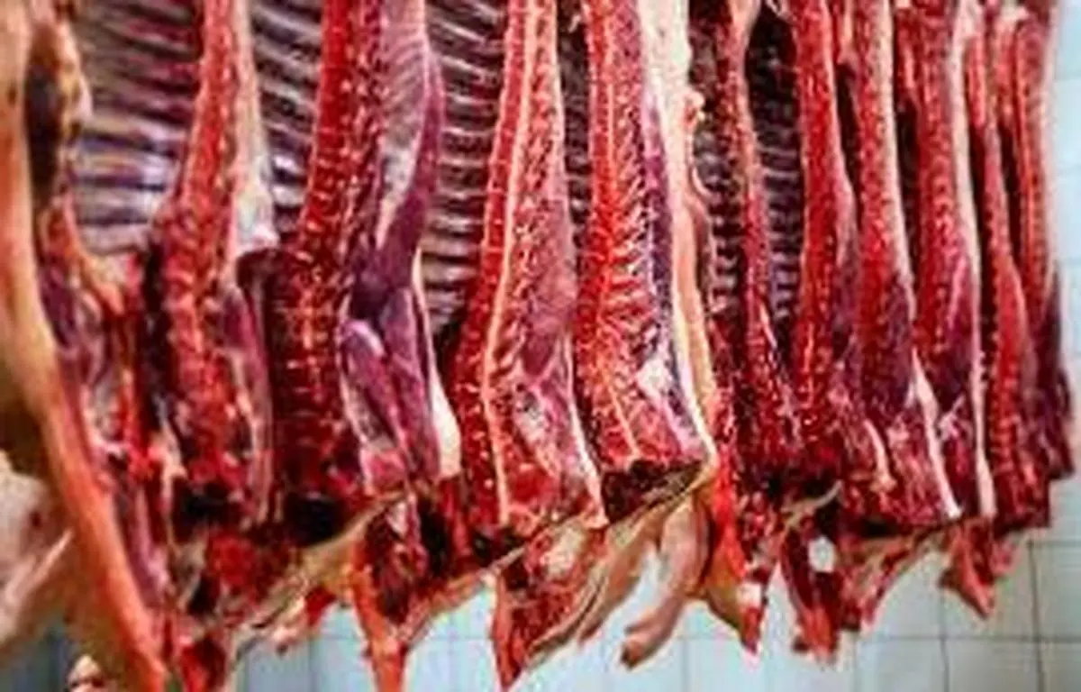 فروش قسطی گوشت تکذیب شد| شرایط تامین گوشت در بازار بحرانی است