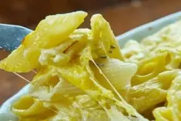 طرز تهیه پاستا یا ماکارونی با سس بشامل عربی