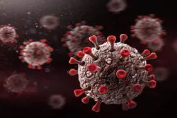 شیوع ویروس متاپنوموویروس انسانی در چین | افزایش موارد ابتلا و علائم مشابه آنفلوآنزا