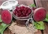 طرز تهیه مربا لبو | تا هنوز فصلشه درست کن و لذت ببر! +ویدئو