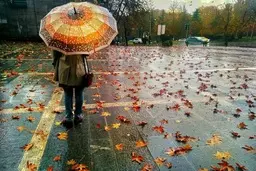 هفته آینده بیشتر مناطق کشور بارش خواهند داشت 