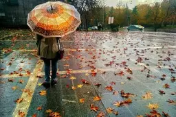 هفته آینده بیشتر مناطق کشور بارش خواهند داشت 