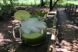 خودت توی خونه  شربت نعنا درست کن، محشر میشه | طرز تهیه شربت نعنا تازه خوشمزه و مخصوص به روش خانگی+ فوت و فن خاص