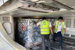 واردات واکسن کرونا برای زیر ۲۰ ساله‌ها توسط هلال‌احمر 