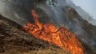 افزایش دمای ۱۴ درجه‌ای دمای هوای گلستان | احتمال آتش‌سوزی در جنگل‌ها