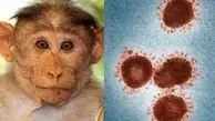 علت اصلی مسمومیت دانشجویان | ۹ مورد مشکوک به آبله میمونی در کشور