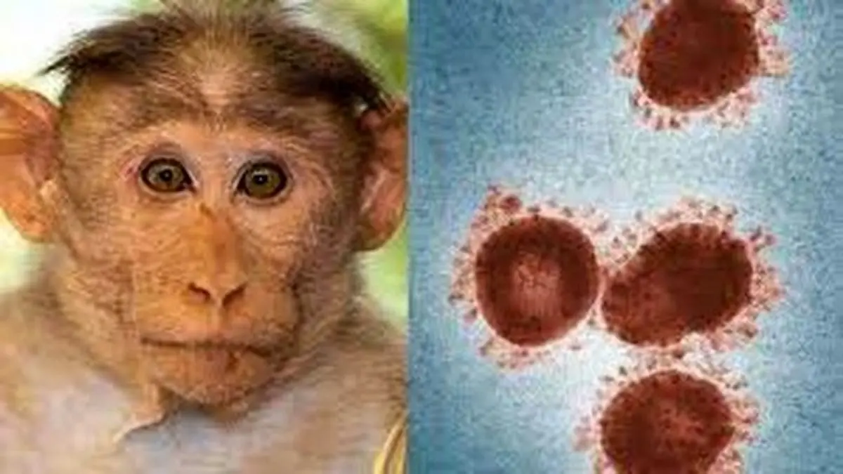 علت اصلی مسمومیت دانشجویان | ۹ مورد مشکوک به آبله میمونی در کشور