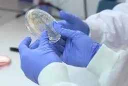 کشف یک میلیون دستکش یک بار مصرف در تهران