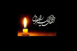 بیانیه هیات دولت درباره شهادت آیت الله خامنه ای | اعلام 40 روز عزای عمومی و 7 روز تعطیلی