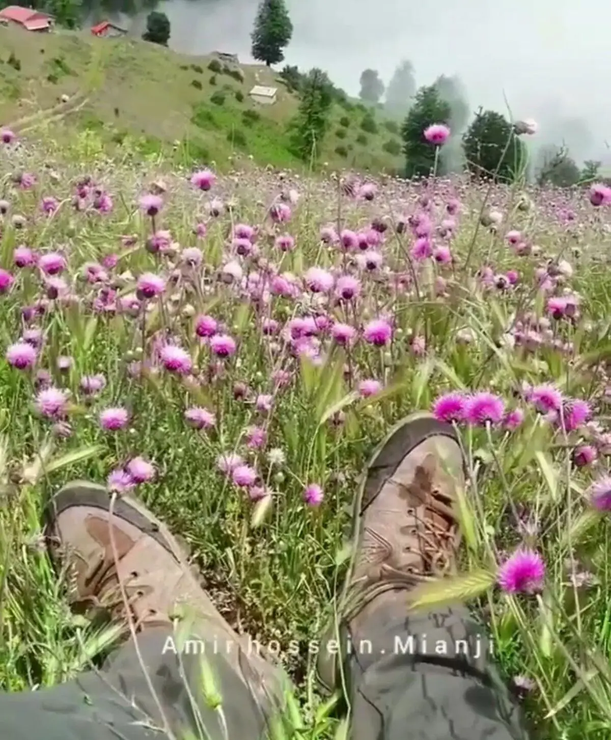 رودبار | بهشتی به نام سلانسر+ویدئو 