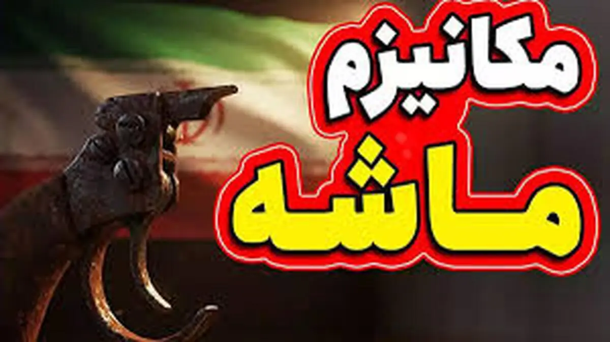مکانیسم ماشه چیست؟ | توضیح کوروش احمدی درباره روند اجرا +ویدئو