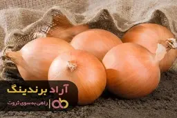 با سرمایه ی اولیه ی کم به درآمد بالا برسیم