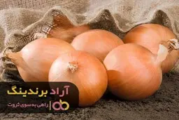 با سرمایه ی اولیه ی کم به درآمد بالا برسیم