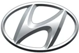 هیوندای پس از توقف در چین به سمت هند تغییر مسیر می دهد