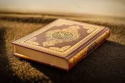 سوزاندن قرآن کریم در هلند | اهانت دوباره اروپایی ها به اسلام