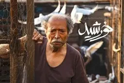 «خورشید» در جمع ۱۵ نامزد اولیه اسکار قرار گرفت