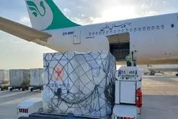 6 میلیون دُز واکسن کرونا از نوع سینوفارم وارد ایران شد
