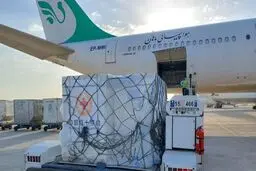 6 میلیون دُز واکسن کرونا از نوع سینوفارم وارد ایران شد