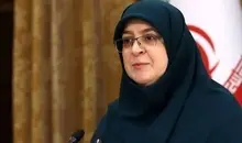 توضیح مهاجرانی درباره طرح دورکاری برخی ادارات در زمستان | غیرحضوری‌شدن مدارس شایعه است